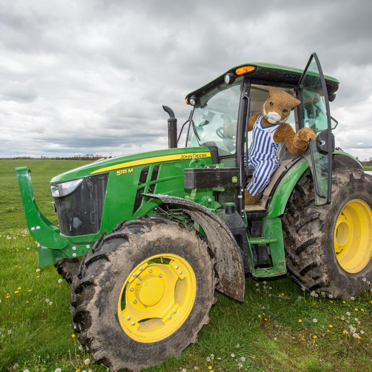  UK Wildcat Mascot on tractor in field.