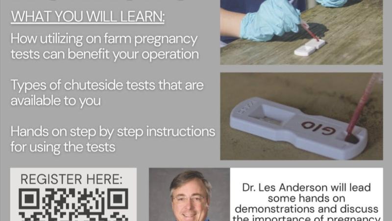 Chuteside Cattle Pregnancy Testing Workshop
